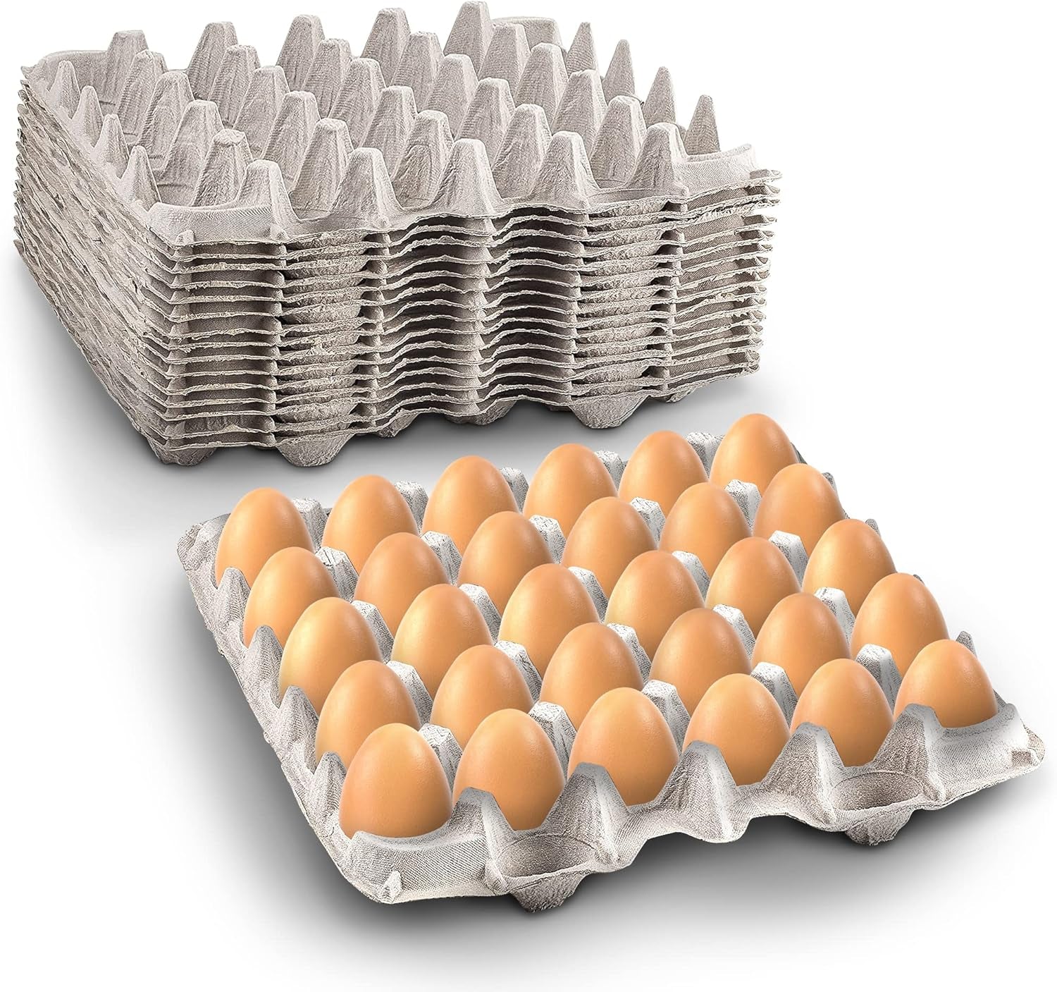 Egg Crate - (15 Pieces) for Storing up to 30 Large or Small Eggs - Pulp Fiber Egg Flat Cartons That Make a Great Home for Roach Colony - Made in the USA