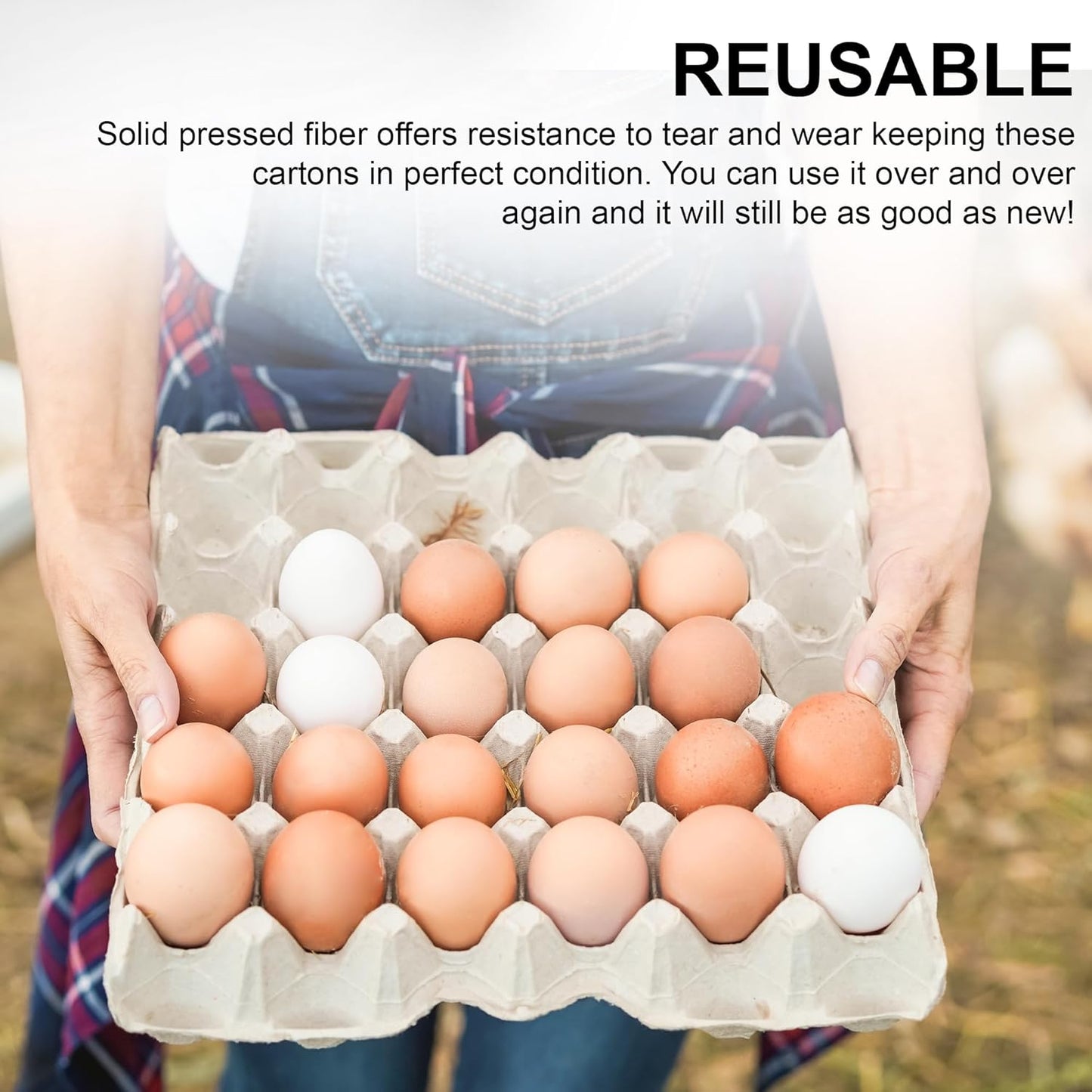 Egg Crate - (15 Pieces) for Storing up to 30 Large or Small Eggs - Pulp Fiber Egg Flat Cartons That Make a Great Home for Roach Colony - Made in the USA