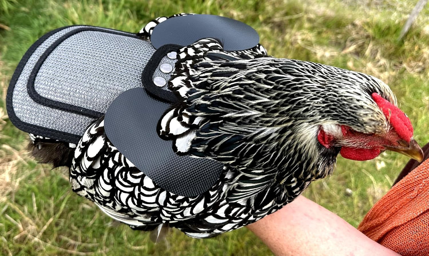 Chicken Saddle with Adjustable Straps for Medium and Large Hens, Chicken Apron, Poultry Saver, Pet Supplies, Including Shoulder Cover (Grey Mesh)