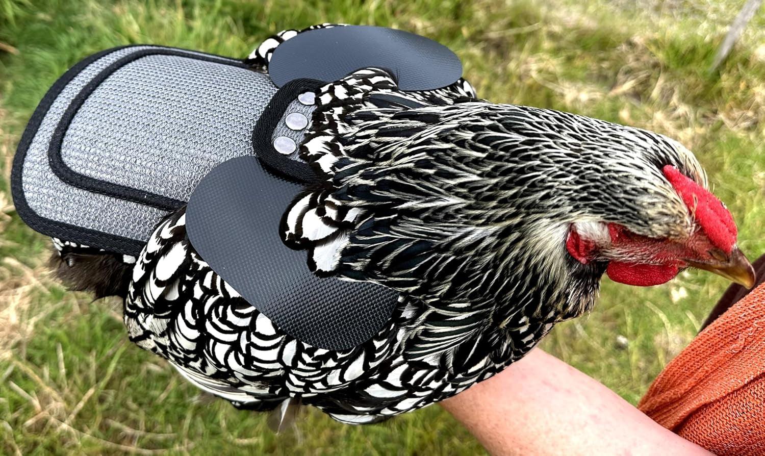 Chicken Saddle with Adjustable Straps for Medium and Large Hens, Chicken Apron, Poultry Saver, Pet Supplies, Including Shoulder Cover (Grey Mesh)