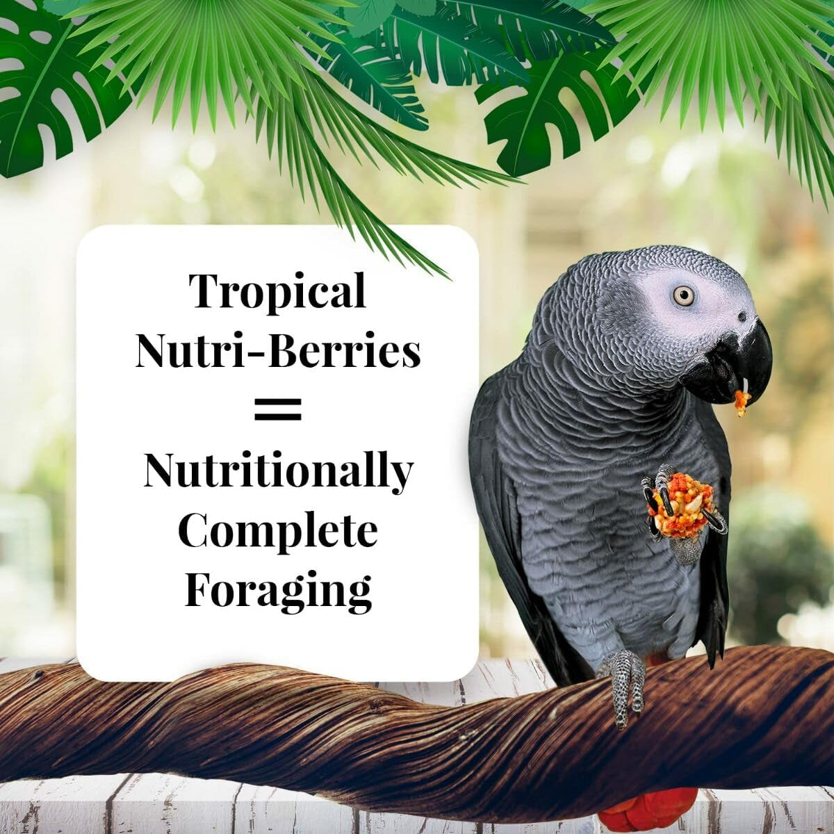 Lafeber?S Gourmet Tropical Fruit Nutri-Berries for Parrots 3 Lb. Bag