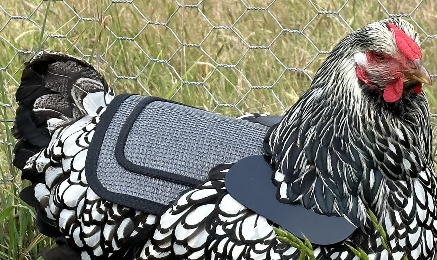 Chicken Saddle with Adjustable Straps for Medium and Large Hens, Chicken Apron, Poultry Saver, Pet Supplies, Including Shoulder Cover (Grey Mesh)