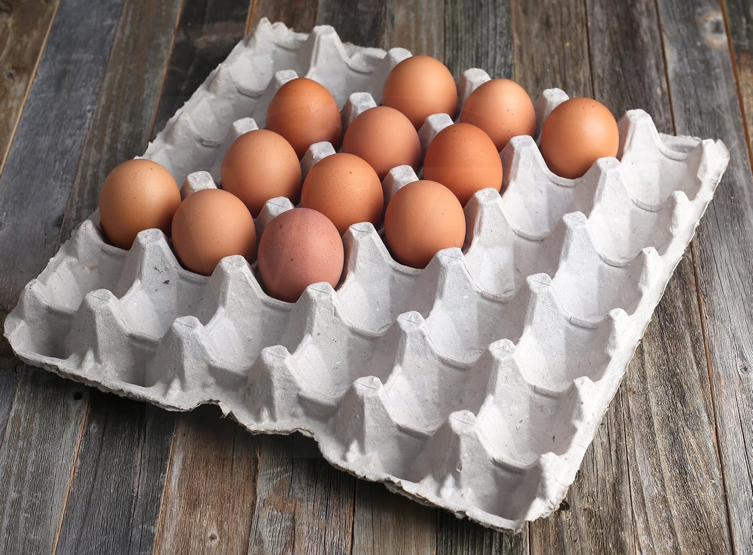 Egg Crate - (15 Pieces) for Storing up to 30 Large or Small Eggs - Pulp Fiber Egg Flat Cartons That Make a Great Home for Roach Colony - Made in the USA