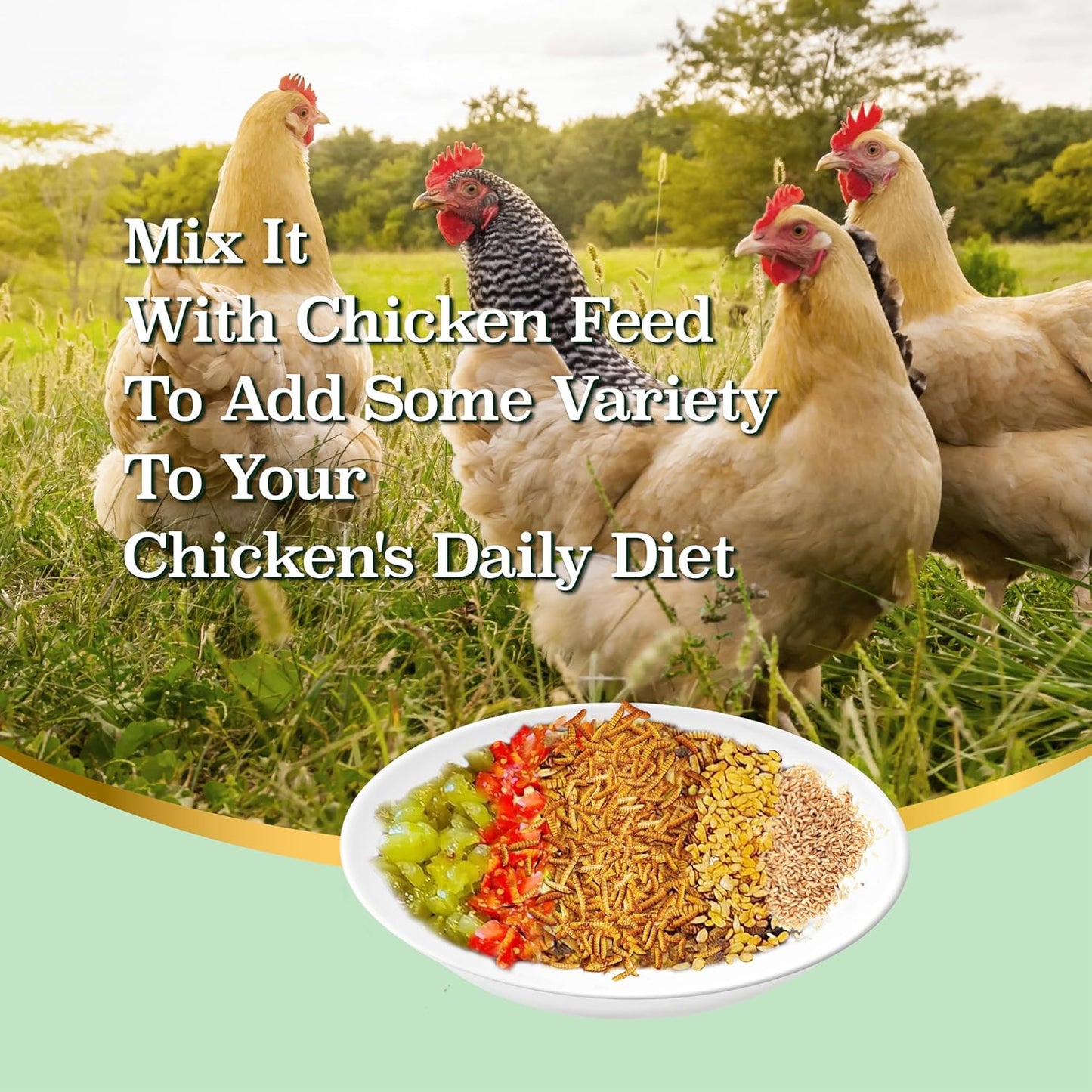 5LB Non-Gmo Dried Black Soldier Fly Larvae, More Calcium than Dried Mealworms, High Protein Chicken Feed, BSFL, Chicken Treats